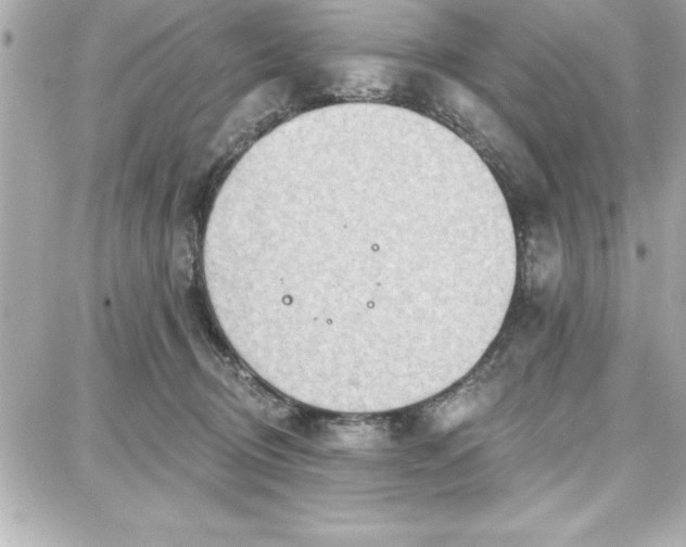 X0000087740370200705211018