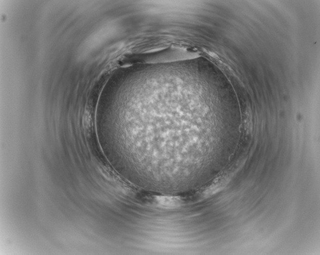 X0000087740371200705211018