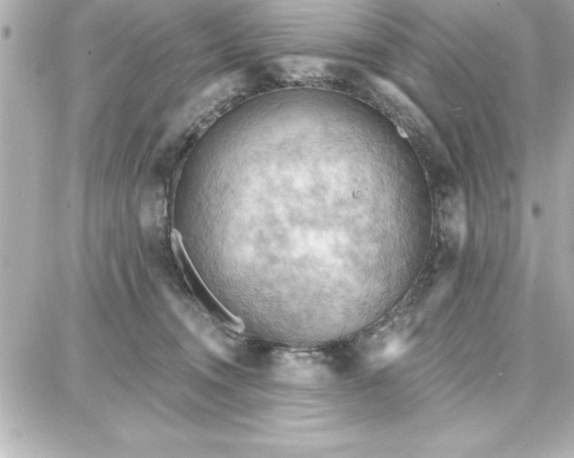 X0000087740372200705211018