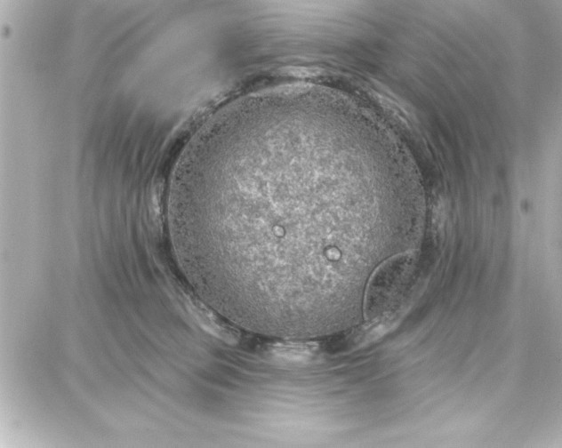 X0000087740373200705211018