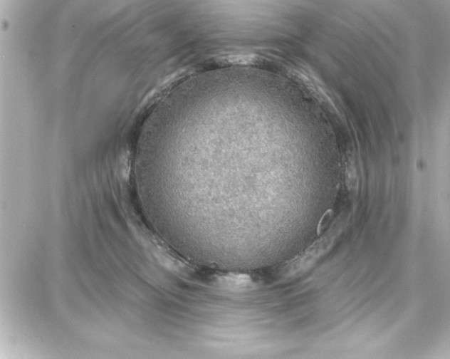 X0000087740374200705211018