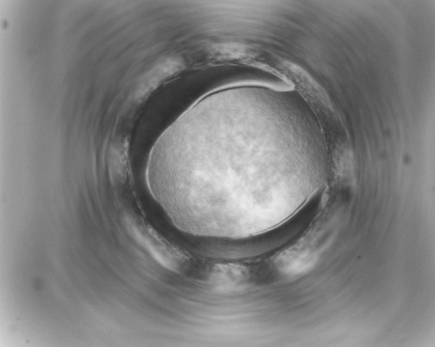 X0000087740376200705211018