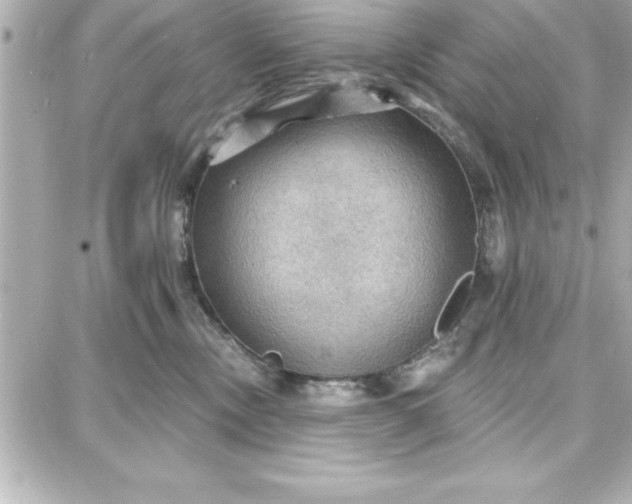 X0000087740378200705211018