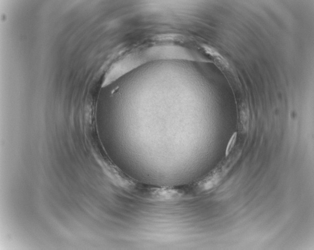 X0000087740379200705211018