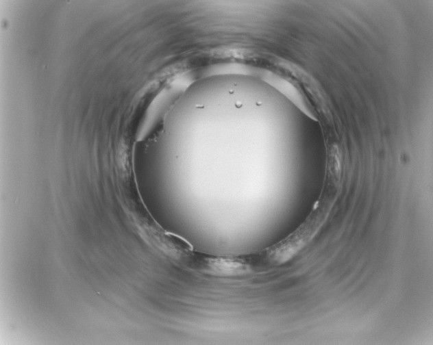 X0000087740380200705211018