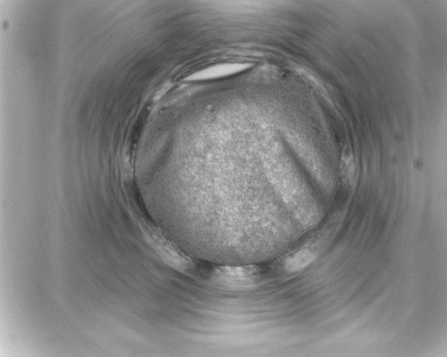 X0000087740381200705211018