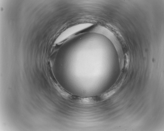 X0000087740382200705211018