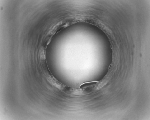 X0000087740384200705211018