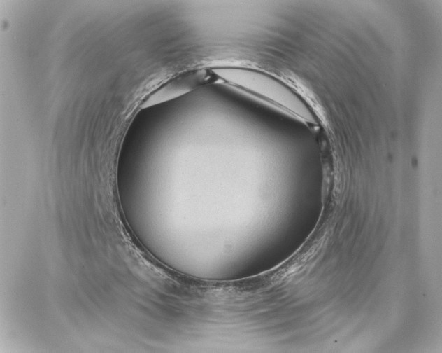 X0000087740385200705211018