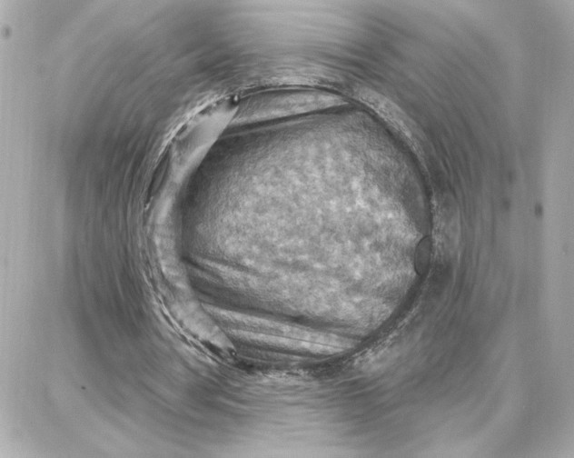 X0000087740386200705211018