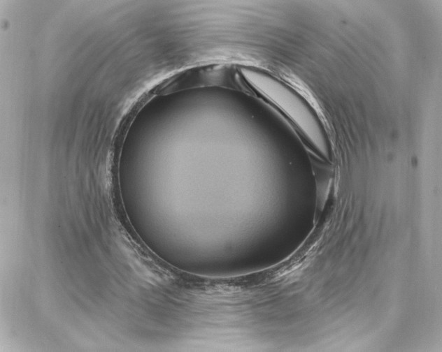 X0000087740387200705211018