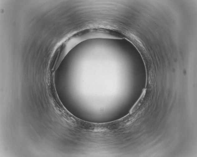 X0000087740388200705211018