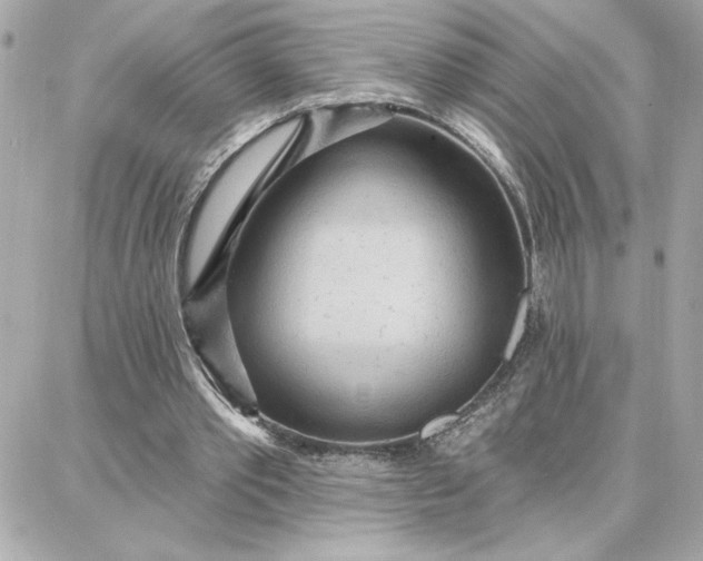 X0000087740389200705211018