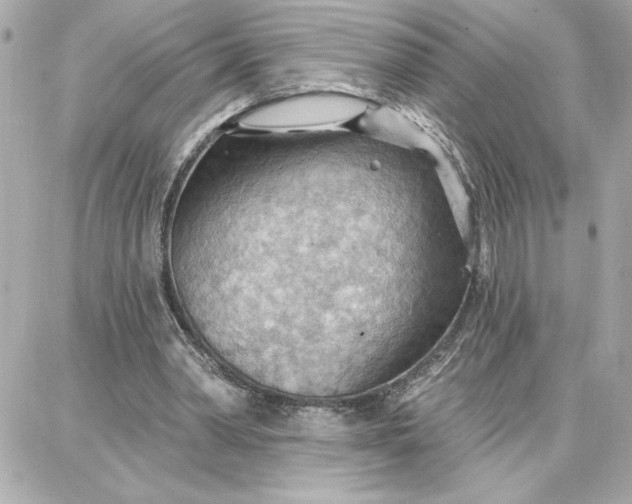 X0000087740390200705211018