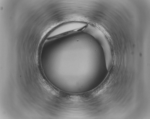 X0000087740391200705211017