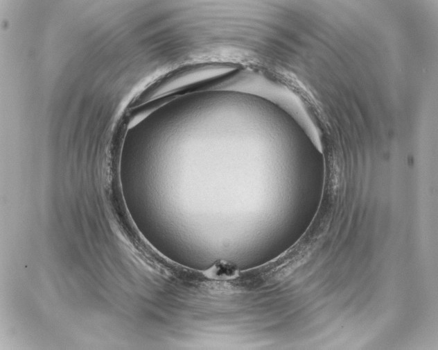 X0000087740392200705211017