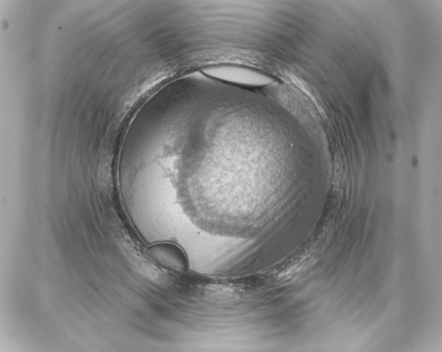 X0000087740394200705211017