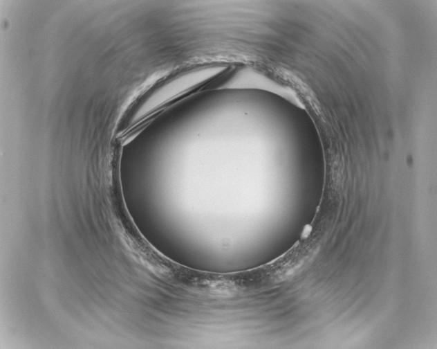 X0000087740395200705211017