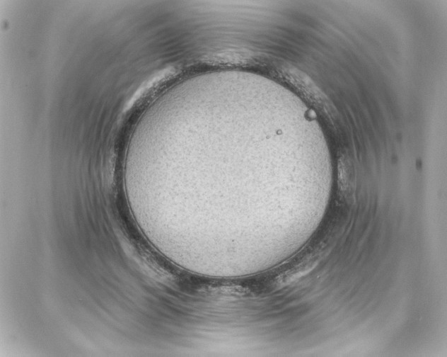 X0000087740396200705211017