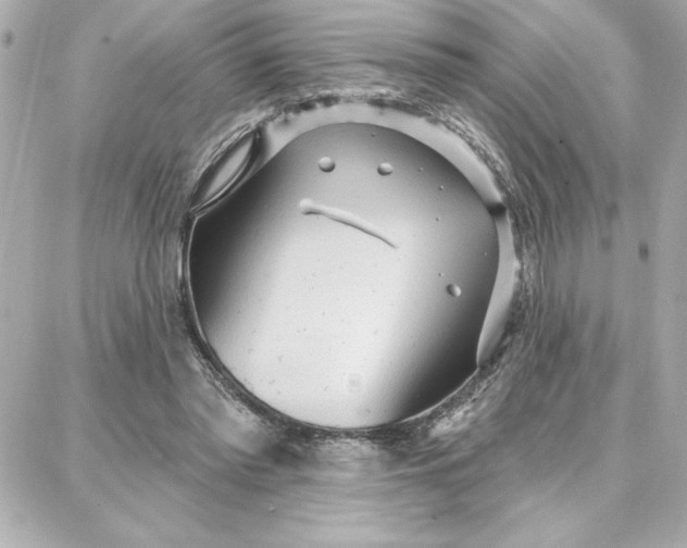 X0000087740397200705211017