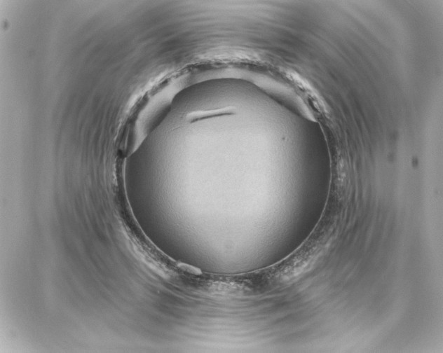 X0000087740399200705211017