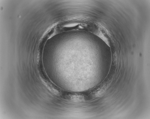 X0000087740400200705211017