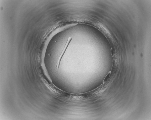 X0000087740401200705211017