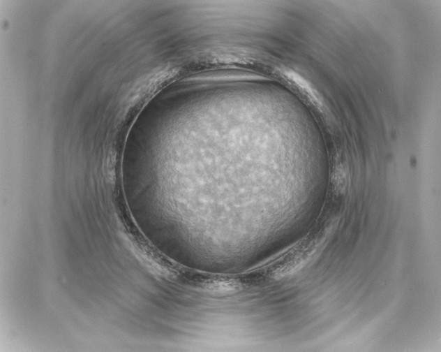 X0000087740402200705211017