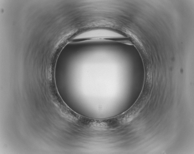 X0000087740403200705211017