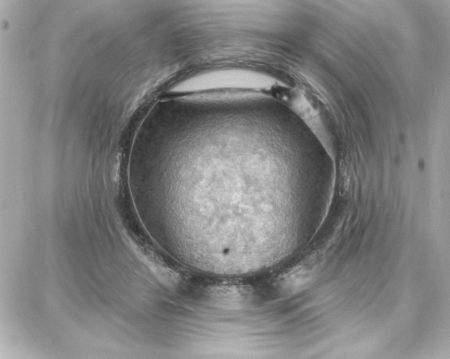 X0000087740404200705211017