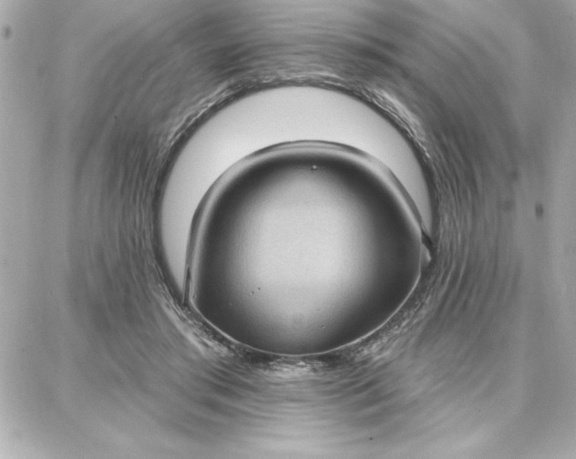 X0000087740405200705211017