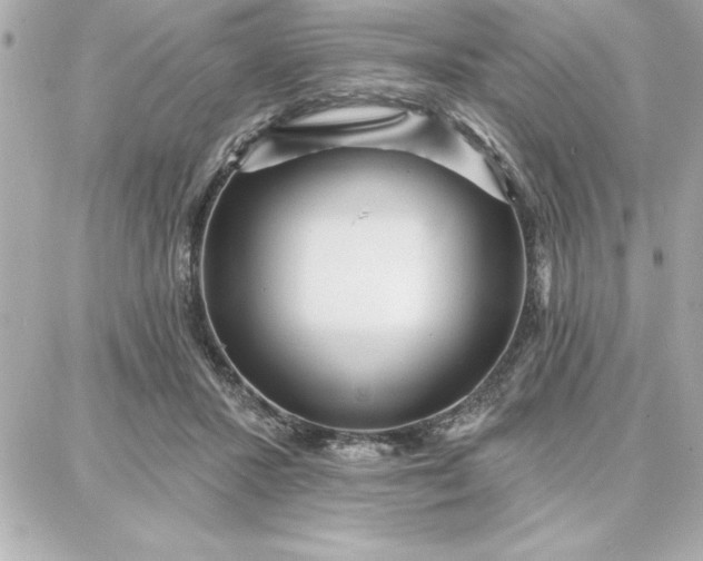 X0000087740407200705211017