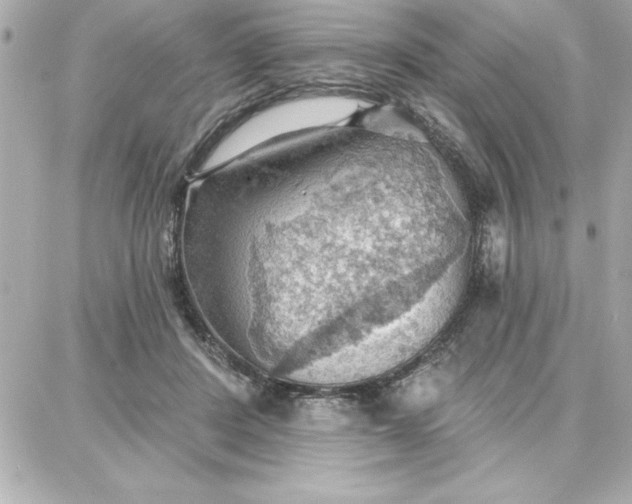 X0000087740408200705211017