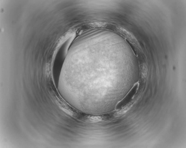 X0000087740409200705211017