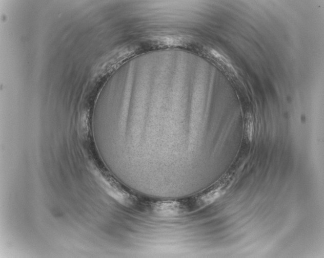 X0000087740410200705211017