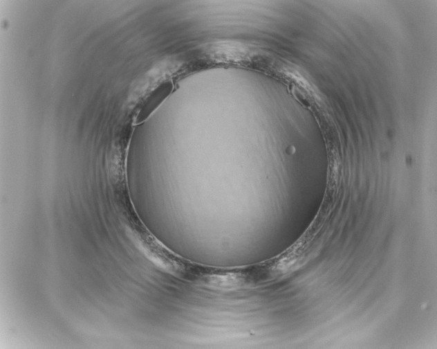 X0000087740411200705211017