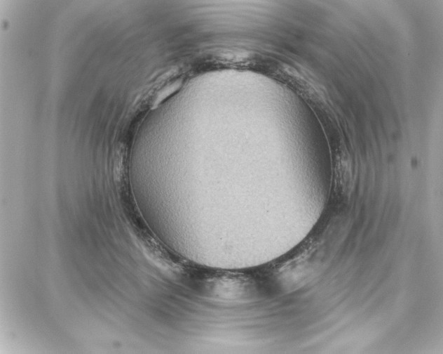 X0000087740412200705211017