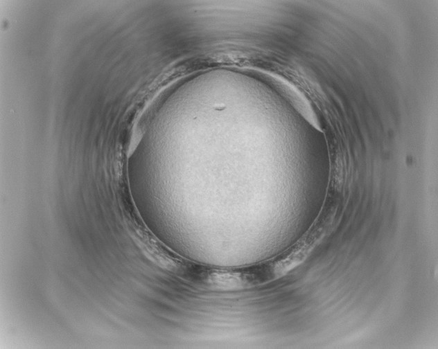 X0000087740413200705211017