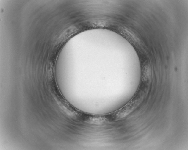 X0000087740414200705211017