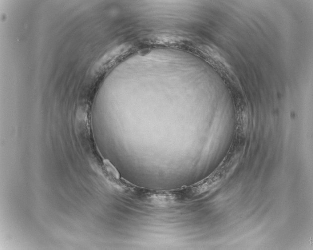 X0000087740415200705211017