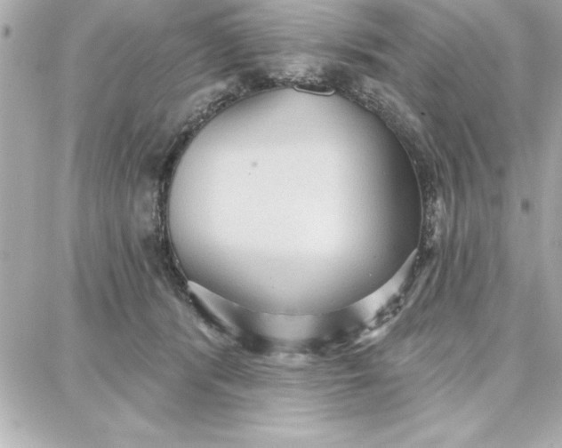 X0000087740416200705211017