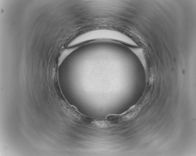 X0000087740417200705211017