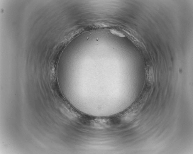 X0000087740418200705211017