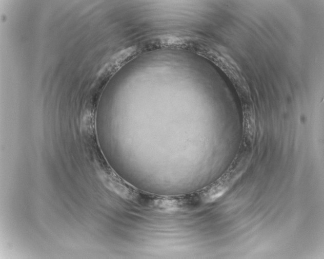 X0000087740419200705211017