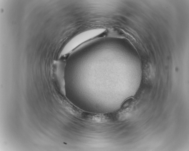 X0000087740420200705211017