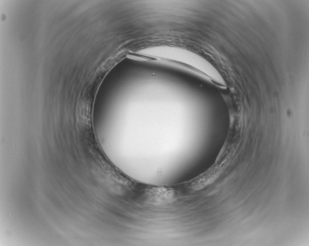 X0000087740421200705211017