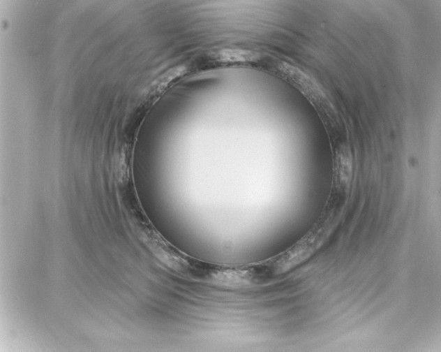 X0000087740422200705211017