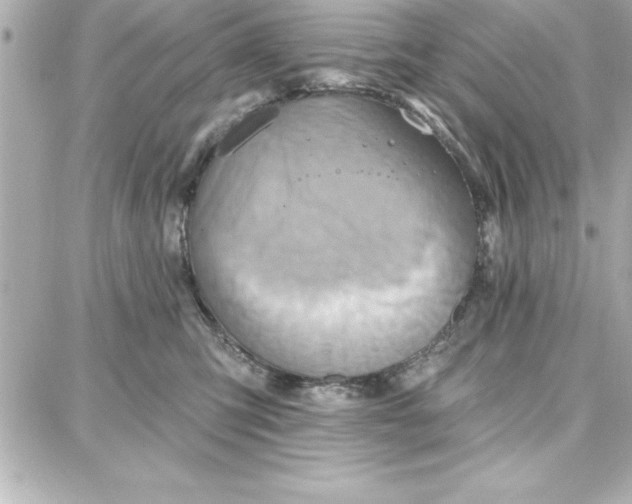 X0000087740423200705211017