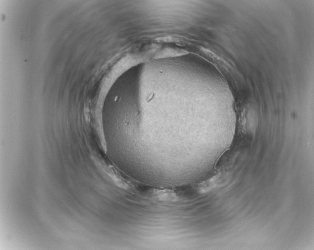 X0000087740424200705211017