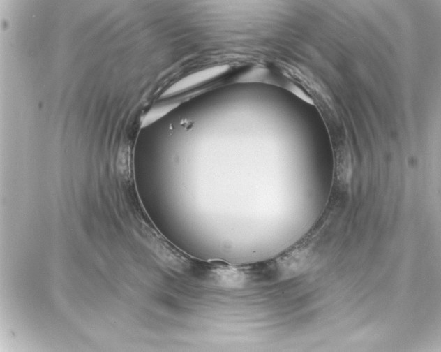 X0000087740425200705211017